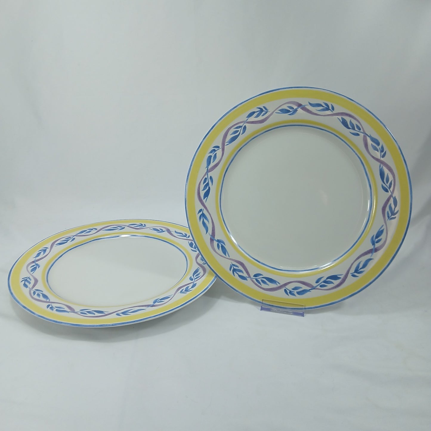 🦃Set of 2 American Atelier Paradise Stoneware Dinner Plates 10.75" Blue Yellow