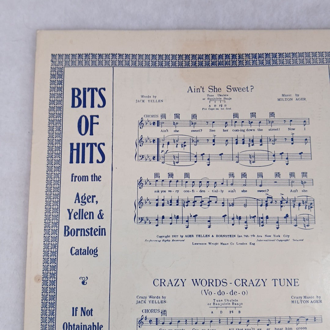 1927 ragtime sheet music SHE DON’T WANNA! by Yellen-Ager-Bornstein