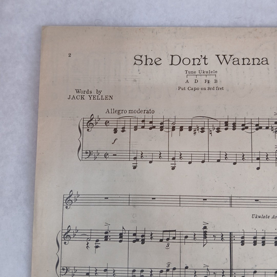 1927 ragtime sheet music SHE DON’T WANNA! by Yellen-Ager-Bornstein