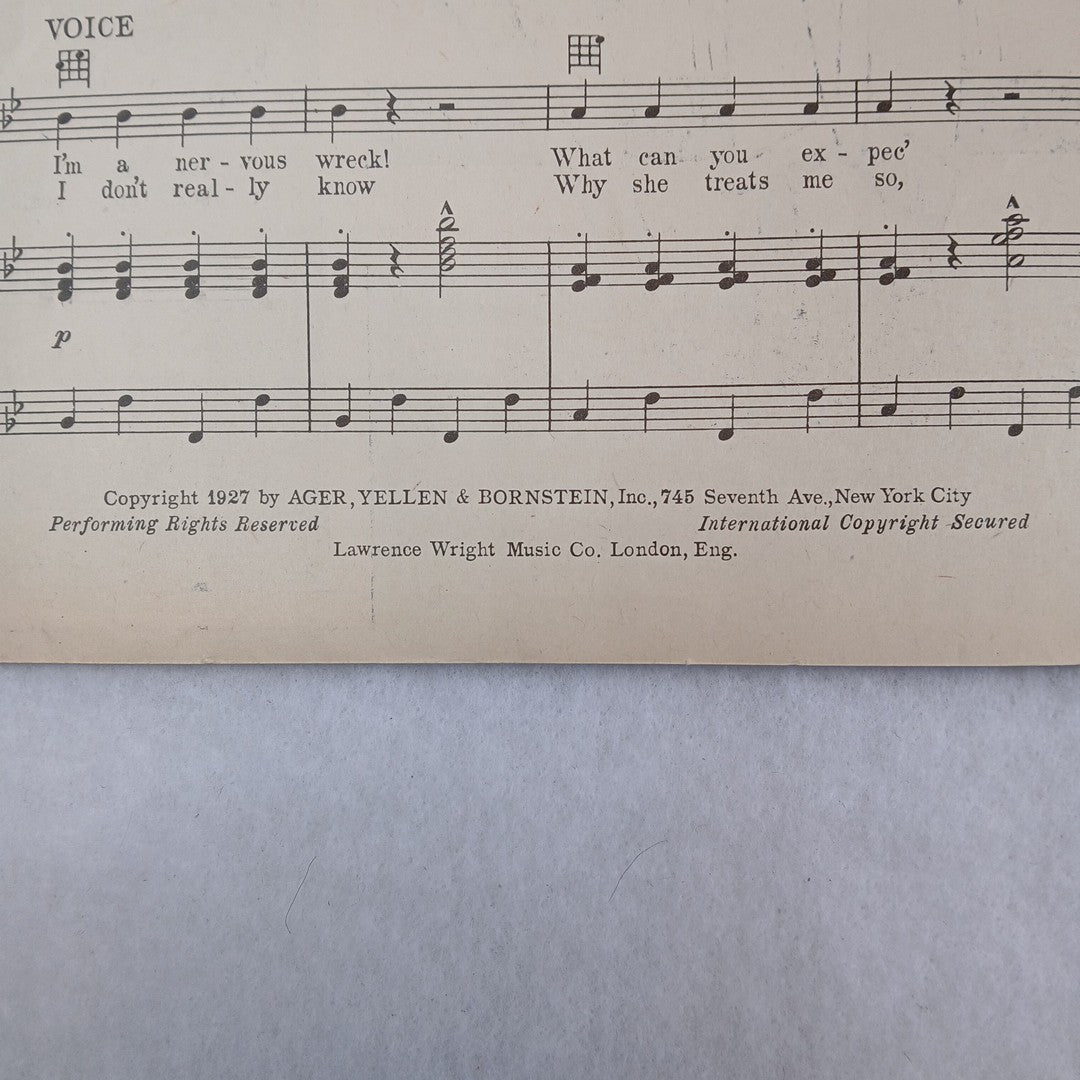 1927 ragtime sheet music SHE DON’T WANNA! by Yellen-Ager-Bornstein